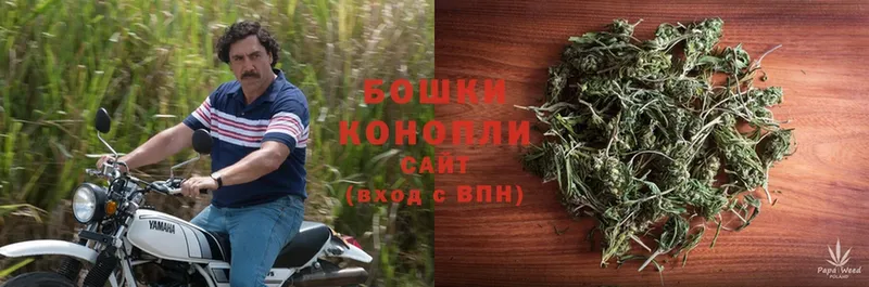 Бошки Шишки SATIVA & INDICA  Апатиты 